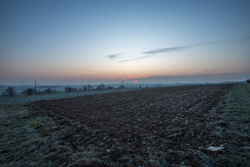 Wintermorgen in den Feldern Rheinhessens