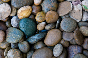 Fototapeta na wymiar Abstract background with dry round pebble 