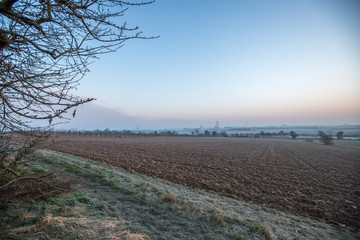 Wintermorgen in den Feldern Rheinhessens