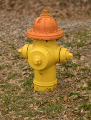 yellow fire hydrant is painted safety yellow