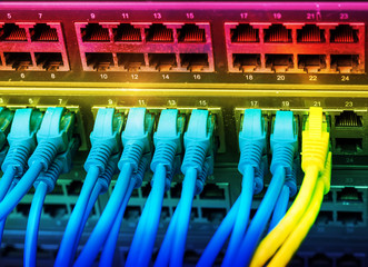 Fototapeta premium Cables Connected to Internet Switch.