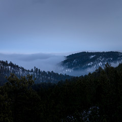 Fog rolling in over forest valley