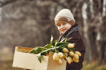 The boy holds a box with tulips
