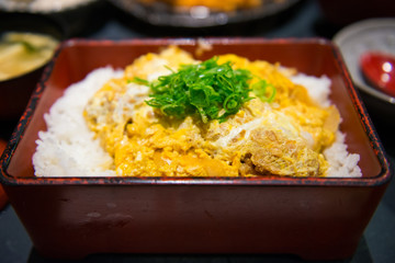 Japanese fried pork with egg over rice or Katsudon