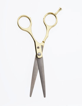 Pair of Scissors