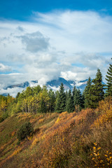 Fototapeta na wymiar Driftwood Valley - Smithers -Hudson Bay Mountain in Fall