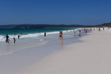 Hyams beach whitest sand in the world