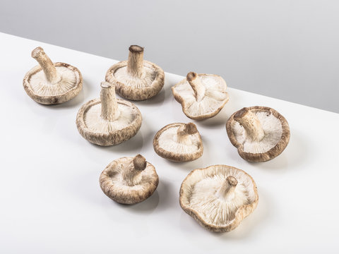 Mushrooms
