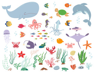Sea animals and water plants. Cartoon vector illustration
