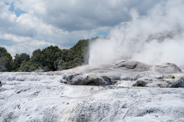 Geysire in Rotorua in Neuseeland