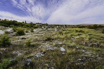 Stone forest in Varna