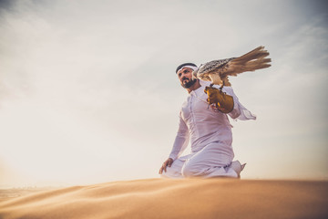 Arabic man in the desert with his hawk
