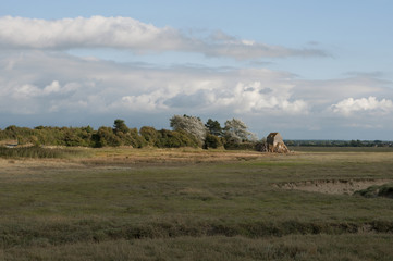 petite maison dans la lande
