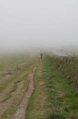 paysage dans le brouillard