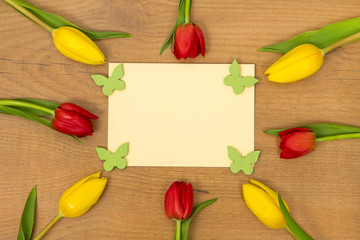 Tulpen und Karte