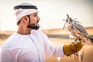Arabic man in the desert with his hawk