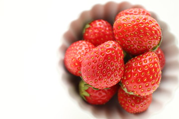 freshness strawberry on white background