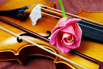 Violin and rose.