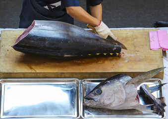 Tuna fish cutting