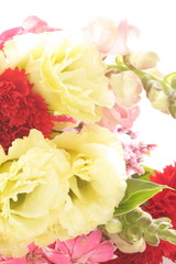 carnation flower bouquet