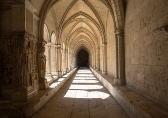 Romanesque Cloisters Church of Saint Trophime Cathedral in Arles. Provence,  France