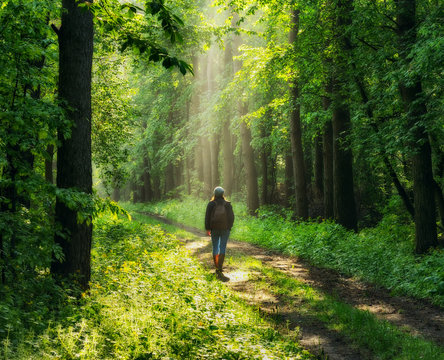 spring forest. woman in a picturesque forest. beautiful sun rays