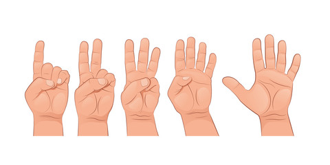 A set of hands. The finger gestures. Vector illustration isolated on white background.