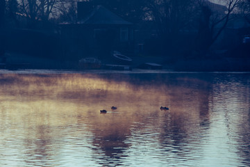 Golden hour on a river in the winter