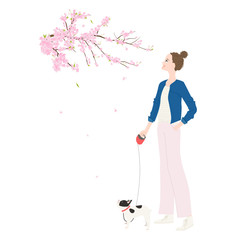 Season of cherry blossoms. Illustration of a woman walking with a pet.