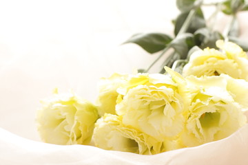 yellow flower bouquet with copy space