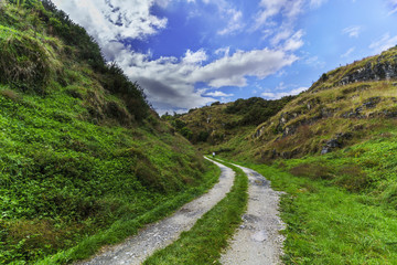 Young female tourist walking on Short walking track in Waitamo , North Island of New Zealand