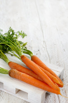 Fresh raw carrots with leaves