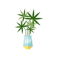 Palm tree house plant, indoor flower in pot, elegant home decor vector Illustration
