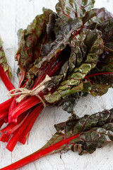 Fresh red chard