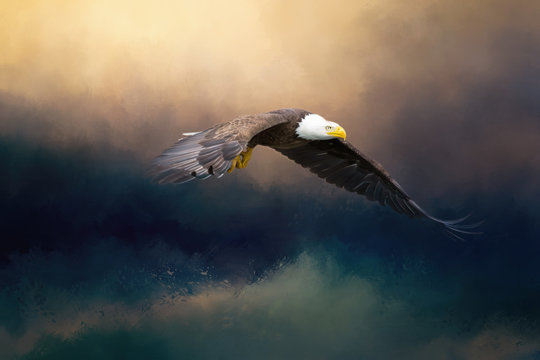 A glorious painted american bald eagle flying over the stormy sea.
