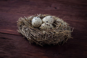 Naklejka na ściany i meble Quail eggs in a nest on a wooden background. The village concept. Filmed under the Beautiful Perspective