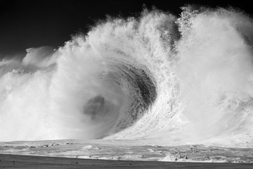 huge wave crashing on the beach in hawaii, black and white - obrazy, fototapety, plakaty