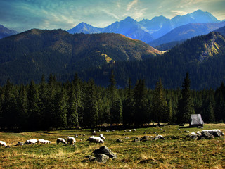 Tatry © dulak