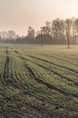 Misty and wet morning in countryside.