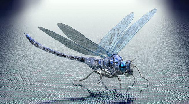digital safety concept electronic computer bug isolated