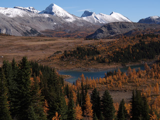 サンシャインメドウズ