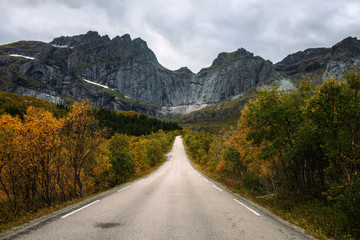 Scenic road on Lofoten islands in Norway on a sunny autumn day