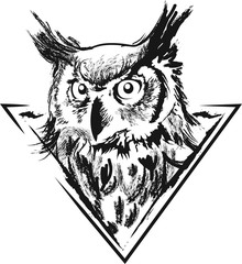 Owl in vector  - 191610498