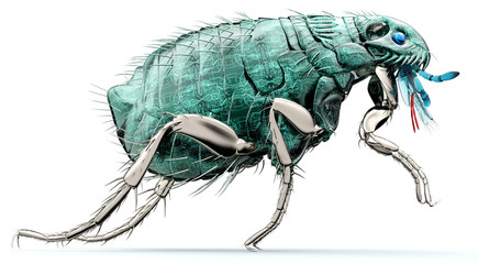 digital safety concept electronic computer bug isolated