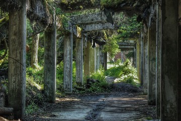 Old ruins of the tin mine