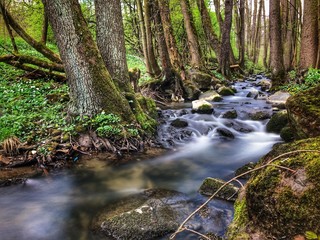 Blurred stream in the woods