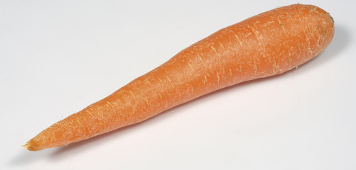 Carrot
 isolated on white background