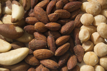 Obraz premium An assortment of roasted and salted Macadamia Nuts, Almonds and Fresh Brazil Nuts 