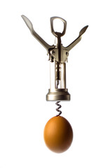 corkscrew opens the egg. isolated