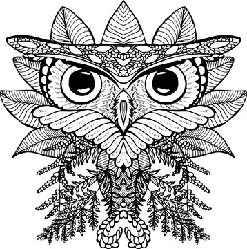 Black and white illustration of an owl. Drawing of an owl and plants